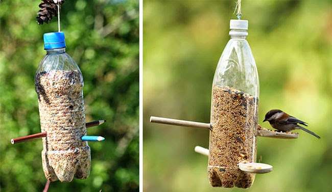 Bird Feeder