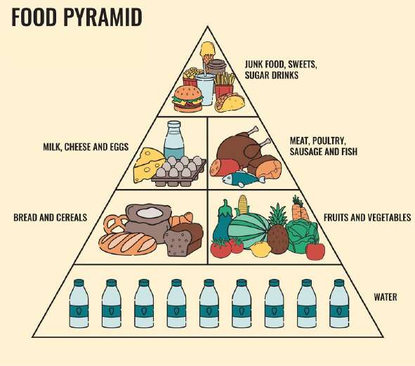Food Pyramid
