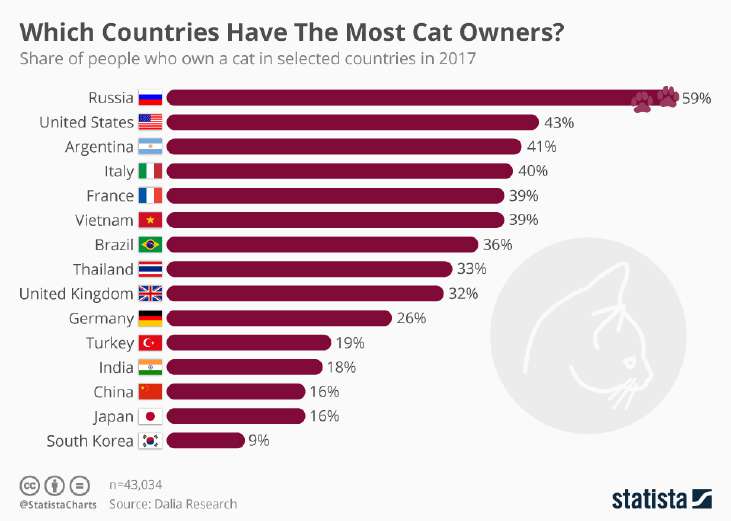 Cat Owners