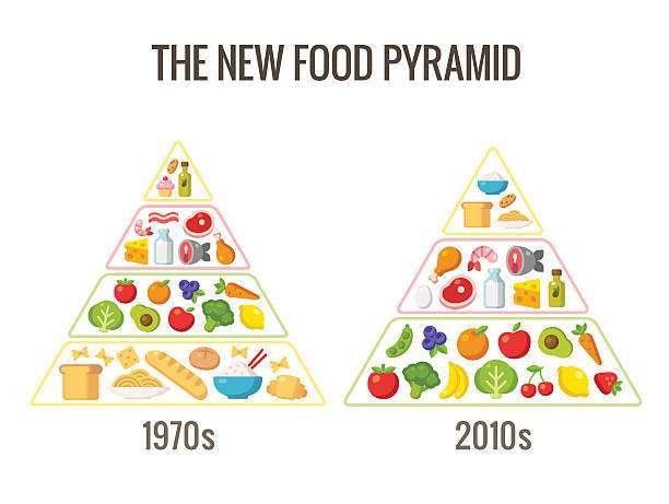 Food Pyramid V1