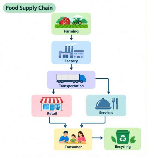 Food Supply Chain